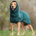 Load image into Gallery viewer, Pet clothing polar fleece
