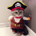 Load image into Gallery viewer, Teddy Pirate Transformed Into Pet Costume
