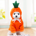 Load image into Gallery viewer, Cute Fruit Dog Clothes For Small Dogs Hoodies Winter Warm Fleece Pet Clothing Puppy Cat Costume Coat For French Chihuahua Outfit
