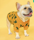 Load image into Gallery viewer, Christmas pet dog clothes
