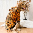 Load image into Gallery viewer, Pet Dog Golden Retriever Clothes Tiger Pet Costume
