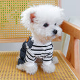 Load image into Gallery viewer, Pet Clothes Clothing Suspender Pants Traction
