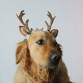 Load image into Gallery viewer, Christmas pet cat dog hat
