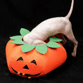 Load image into Gallery viewer, Pet Halloween Pumpkin Collars Cute Pet Cosplay Accessories
