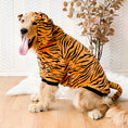 Load image into Gallery viewer, Pet Dog Golden Retriever Clothes Tiger Pet Costume
