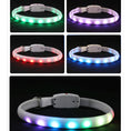 Load image into Gallery viewer, USB Rechargeable Pet Dog LED Glowing Collar Pet Luminous Flashing Necklace Outdoor Walking Dog Night Safety Collar
