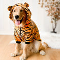 Load image into Gallery viewer, Pet Dog Golden Retriever Clothes Tiger Pet Costume
