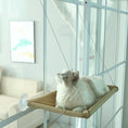 Load image into Gallery viewer, Pet Cat Hammock Suction Cup Sun Hanging Nest Window Glass Swing Balcony Cat Supplies
